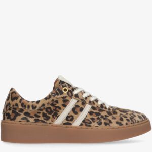 TANGO SHOES - W7346.25
