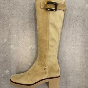 DLS - W8754.26